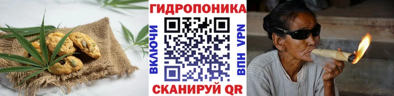 цена наркотик  ссылка на мегу ТОР  Canna-Cookies конопля  Шилка 
